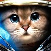 Telegram channel Коммунистический Кот Александра Коммари logo