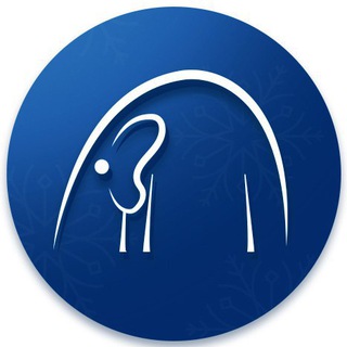 Логотип телеграм канала @komuslona — КомуСлона