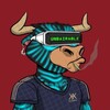 Logo of telegram channel kongsjungleroom — Kong's Jungle Room