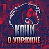 Логотип телеграм канала @konivuprazke — Кони в упряжке ( ПФК ЦСКА )