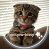 Логотип телеграм канала @konkyrskitty — 🕯|ᴋᴏɴᴋʏʀs-ᴋɪᴛᴛʏ|🐈