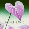 Логотип телеграм канала @konli_plants — 𝐊𝐨𝐧𝐥𝐢 𝐏𝐥𝐚𝐧𝐭𝐬