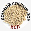 Логотип телеграм канала @konnayasoya — конный соевый лор