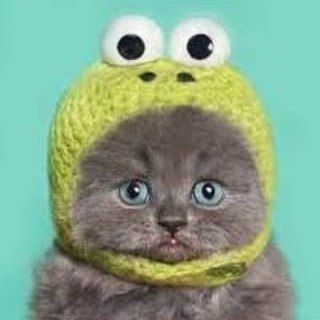 Логотип телеграм канала @konoxa8 — Самый интересный канал