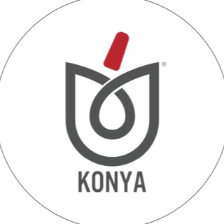 Telgraf kanalının logosu konyainfo — Konya