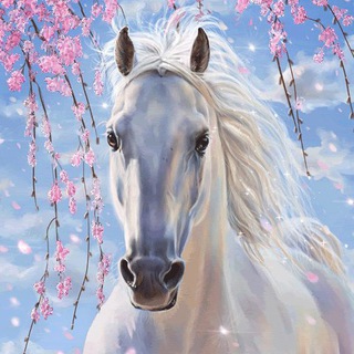 Логотип телеграм канала @konyashki — Любимые лошадки