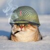 Логотип телеграм канала @kopchyxa — Kopchyxa