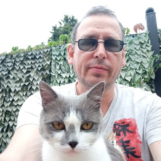 Логотип телеграм канала @korea_meow — KoreaMeow