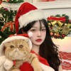 Logo of telegram channel koreahome1 — 🎄𝑾𝒆 𝒍𝒐𝒗𝒆 𝑲𝒐𝒓𝒆𝒂🎅🏻