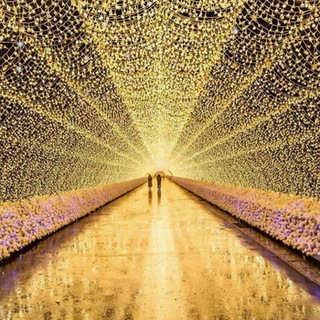 Логотип телеграм канала @korean_world_love — 💎Башня Нам сан 💎🗻💐