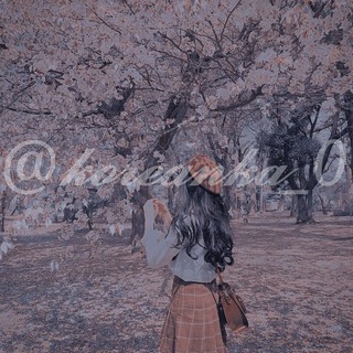 Telegram kanalining logotibi koreancoverdance — ✧･ﾟ: *🍭𝘿𝘼𝙉𝘾𝙀 𝘾𝙊𝙑𝙀𝙍🍭✧･ﾟ: *