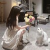 Логотип телеграм канала @koreankiiiii — ꕤ Кореянки 🎀 ꕤ