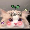 Логотип телеграм канала @koreankimcha — 🇰🇷 한국어 with Kamcha 쌤
