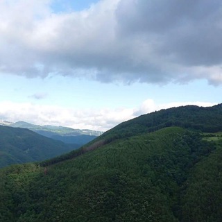 टेलीग्राम चैनल का लोगो koreya_topikuz — New Korea🇰🇷