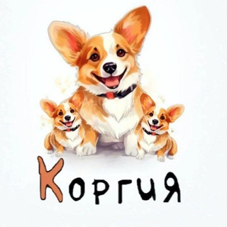 Логотип телеграм канала @korgi_tut — КОРГИЯ