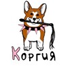 Логотип телеграм канала @korgi_tut — КОРГИЯ