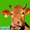 Telegram channel КОРМОМАРКЕТ🐮🐷🐣🐏 logo