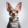 Логотип телеграм канала @koroche_vpn — Короче VPN | Стандарт | Премиум