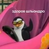 Логотип телеграм канала @korushka_mc — дурка кори