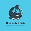 Логотип телеграм канала @kosatkakamgu — Косатка из КамГУ