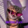 Логотип телеграм канала @kosh_flex — кошачий флекс