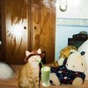 Логотип телеграм канала @koshachyamatcha — Тони Катано🧋