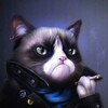 Логотип телеграм канала @koshak_ko — Котяра и Ко