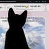 Логотип телеграм канала @koshe4katype — кошечка печатает...