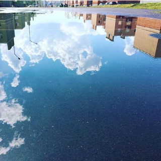 Логотип телеграм канала @koshelevchat — Кошелев чат