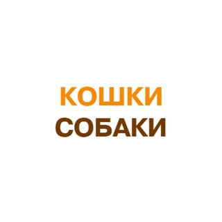 Логотип телеграм канала @koshki_sobaki — Кошки-собаки Красноярска. Справочник.