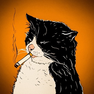 Логотип телеграм канала @koshkii_kotiki — шерстяные проказники • коты