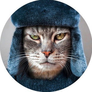 Логотип телеграм канала @koshkin_sibir — Кошкин Сибиряк 2.0