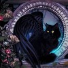 Логотип телеграм канала @koshkinasonya_life — Эзотерика: Кошкина Life🔮