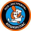 Логотип телеграм канала @koshkispas — Кошкиспас