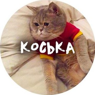 Логотип телеграм канала @kosika_mya — Коська