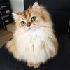 Логотип телеграм канала @koska_mem — К О С Ь К А🐈