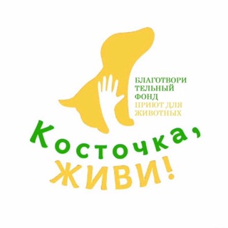 Логотип телеграм канала @kostochka_zhivi — Приют "Косточка, Живи! "