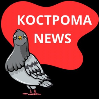 Logo saluran telegram kostroma_news44 — Кострома_NEWS