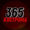 Логотип телеграм канала @kostroma365 — КОСТРОМА 365