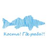 Логотип телеграм канала @kostyagderyba — Костя, где рыба?!
