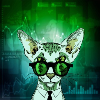Логотип телеграм канала @kot_investor — Биржевой кот