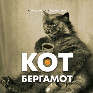 Логотип телеграм канала @kot_litra — Кот Бергамот