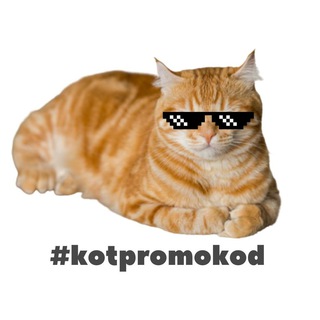 Логотип телеграм канала @kot_promokod — Кот Промокод🚀