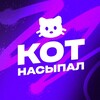 Логотип телеграм канала @kot_nasipal — Кот Насыпал
