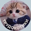 Логотип телеграм канала @kot_po_naumy — Кот по найму