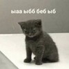 Логотип телеграм канала @kot_ya_mua — Катя красит