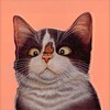 Логотип телеграм канала @kotanytie — Котанутые
