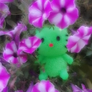 Логотип телеграм канала @kotboriss — Кот🐱Борис💚