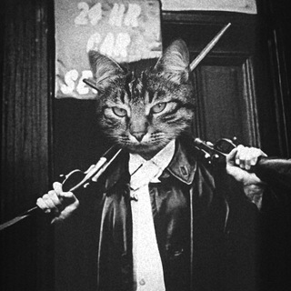 Логотип телеграм канала @kote_banditi — Пушистые бандиты