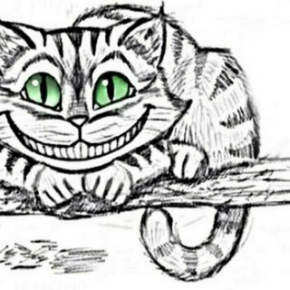 Логотип телеграм канала @kotek_uchit — отзывы об обучении у Котек